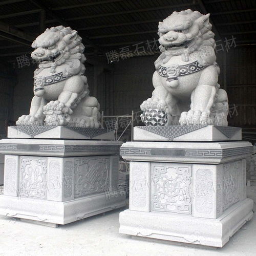 廣場石雕獅子雕刻 大型石雕石雕獅子生產(chǎn) 泉州石雕獅子訂購批發(fā)